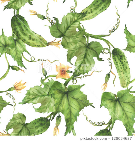 Cucumber seamless pattern. Growing plant with crop of vegetables, flowers, buds and curly tendrils. Hand drawn watercolor illustration for farm crop packaging, fabric design. Isolated from background Cucumber seamless pattern. Growing plant with crop of vegetables, flowers, buds and curly tendrils. Hand drawn watercolor illustration for farm crop packaging, fabric design. Isolated from background 128034687