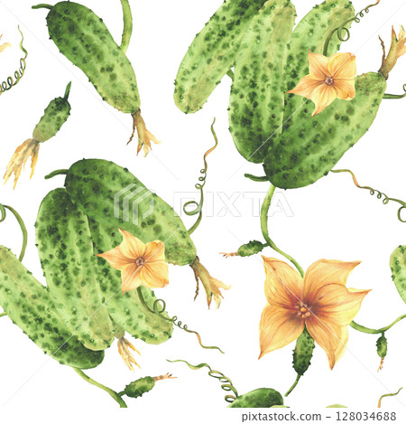 Cucumbers plant watercolor seamless pattern with yellow flowers, tendril, buds and leaves. Hand drawn watercolor illustration. Clipart for eco vegetable crop packaging, fabric Isolated from background Cucumbers plant watercolor seamless pattern with yellow flowers, tendril, buds and leaves. Hand drawn watercolor illustration. Clipart for eco vegetable crop packaging, fabric Isolated from background 128034688
