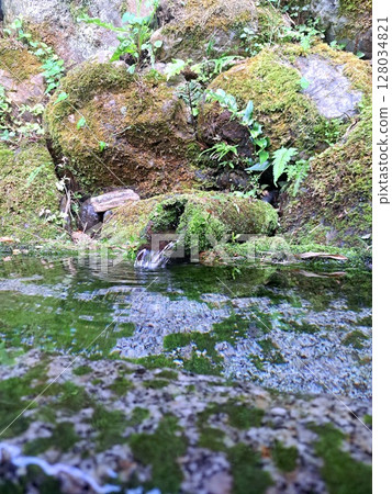Spring water 128034821