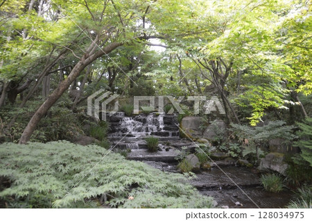 Koko-en公園 128034975