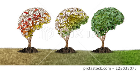 Brain Recovery 128035073