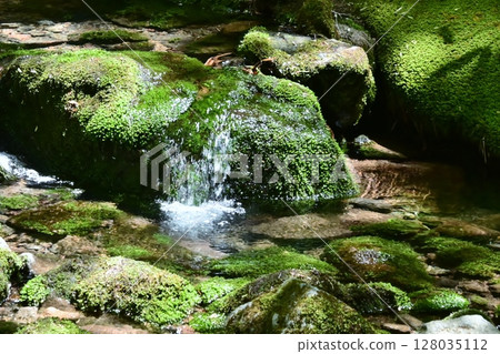 Water flowing down mossy stones in a stream 128035112