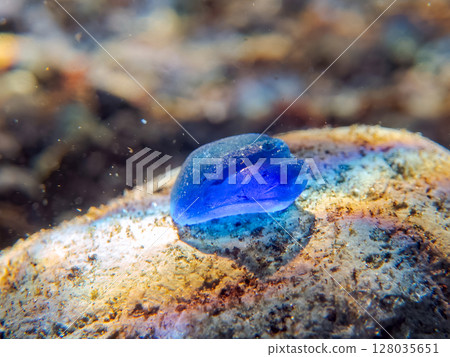 I picked up some beautiful sea glass on the beautiful sandy beach. Hirizohama Nakagi Minamiizu Town Izu Peninsula Shizuoka Prefecture 2024 128035651