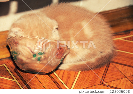 A well-fed ginger kitten fell asleep in a bowl after feeding A well-fed ginger kitten fell asleep in a bowl after feeding 128036098