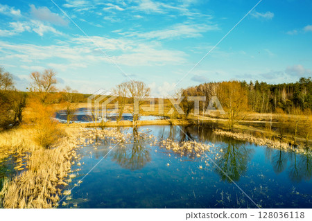 Aerial view of the countryside on a sunny day. Pond in a meadow surrounded by forest. Beautiful natural landscape with cloudy sky 128036118