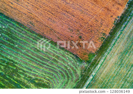 Top view of the colorful agriculture fields. Rural nature background. Top view of mown hay 128036149