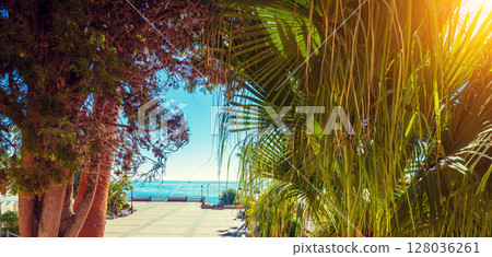 Embankment with palm trees in summer. Nerja, Malaga, Spain. Horizontal banner 128036261