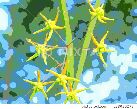 清晨的梧桐花（afr20250703054849） 128036275