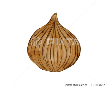 夏季蔬菜洋蔥切片的簡單插圖，用水彩畫 128036340