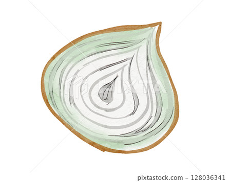 Simple illustration of summer vegetable onion drawn in watercolor 128036341