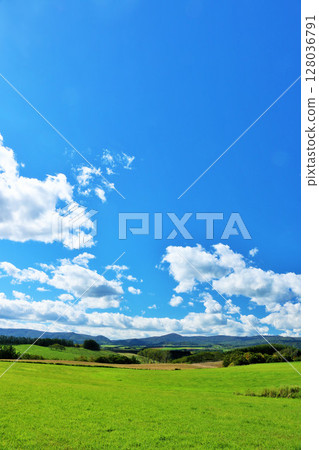 Hokkaido summer blue sky and fresh green meadow scenery Hokkaido summer blue sky and fresh green meadow scenery 128036791