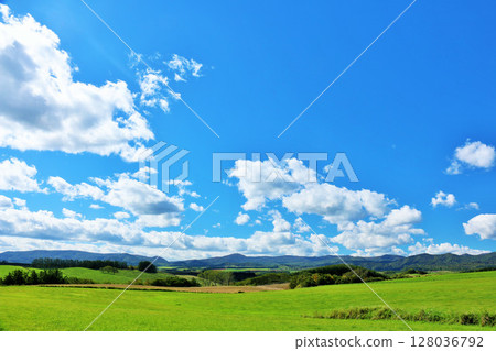 Hokkaido summer blue sky and fresh green meadow scenery 128036792