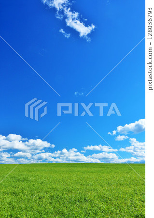 北海道夏日藍天與清新綠草甸風光 128036793