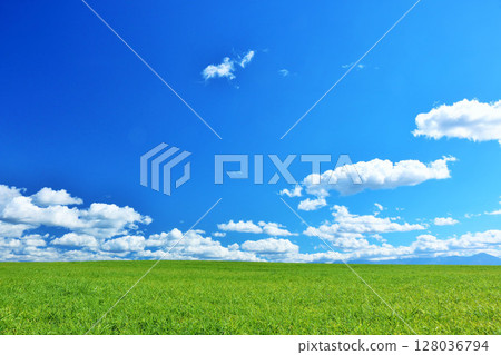 北海道夏日藍天與清新綠草甸風光 128036794