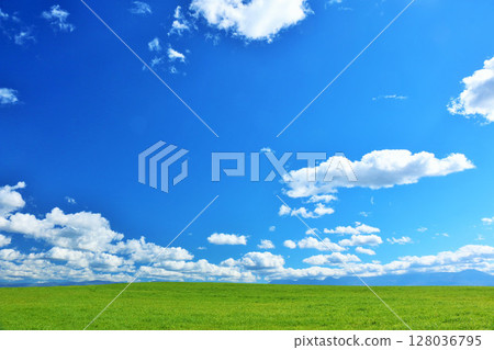 Hokkaido summer blue sky and fresh green meadow scenery 128036795