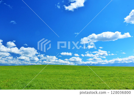 Hokkaido summer blue sky and fresh green meadow scenery 128036800