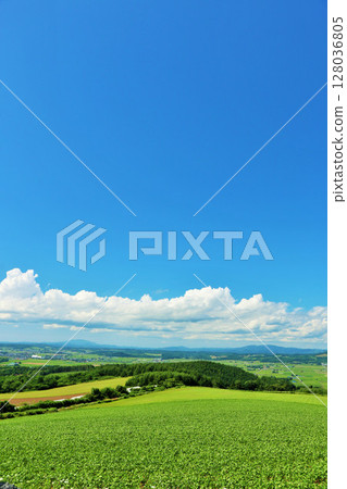 Hokkaido summer blue sky and earth 128036805