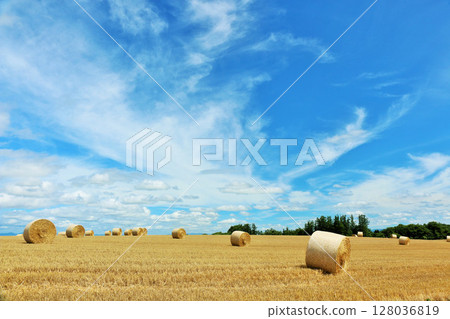 Hokkaido Blue sky ground and grass roll 128036819