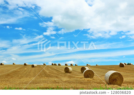 Hokkaido Blue sky ground and grass roll 128036820