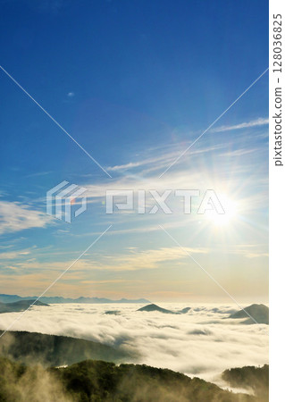Hokkaido: The sun at dawn and the land of the sea of clouds 128036825