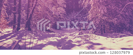 Christmas background. Winter forest covered with snow on a sunny day. Pine forest in winter. Horizontal banner Christmas background. Winter forest covered with snow on a sunny day. Pine forest in winter. Horizontal banner 128037979