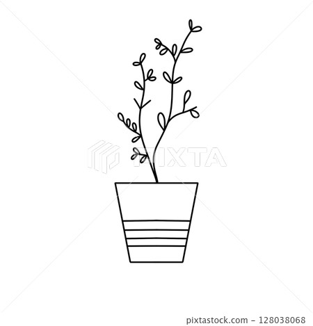 A potted plant with a white pot and a black stem A potted plant with a white pot and a black stem 128038068