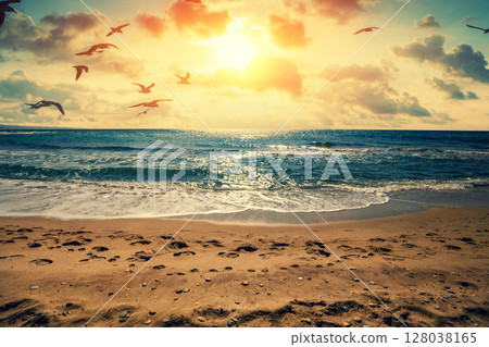 Seascape in the early morning. Sunrise over the sea. Seagulls fly over the beach 128038165