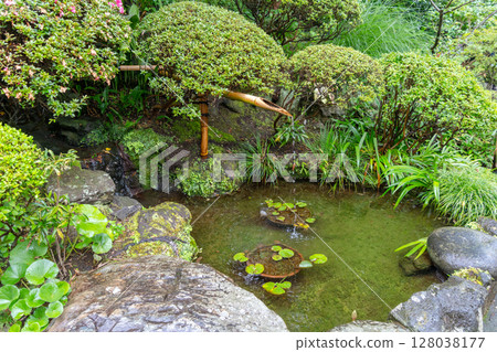Bamboo fountain in Hokoku-ji Shrine garden, Kamakura, Japan 128038177