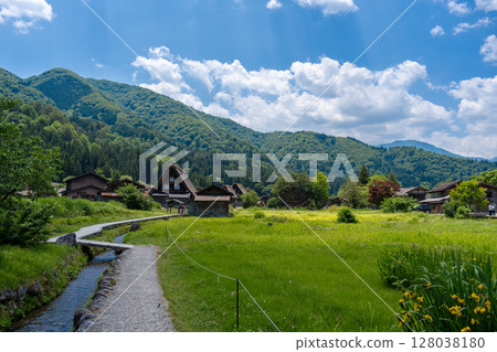 Traditional rice fields and gassho houses in Shirakawa-go village, Japan 128038180