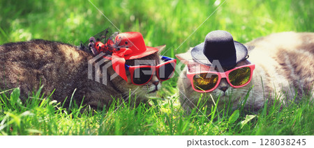 Two funny cats wearing sunglasses and hats lay on the grass on a sunny day. Horizontal banner 128038245