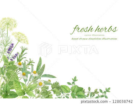 用水彩草本裝飾的框架背景材料 128038742