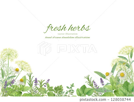 用水彩草本裝飾的框架背景材料 128038744