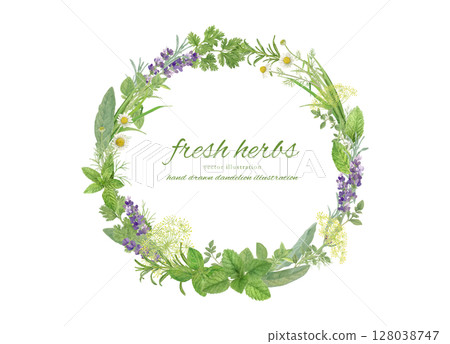 用水彩畫的天然草本葉子裝飾的框架材料 用水彩畫的天然草本葉子裝飾的框架材料 128038747