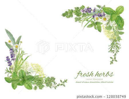 用水彩畫的天然草本葉子裝飾的框架材料 用水彩畫的天然草本葉子裝飾的框架材料 128038749