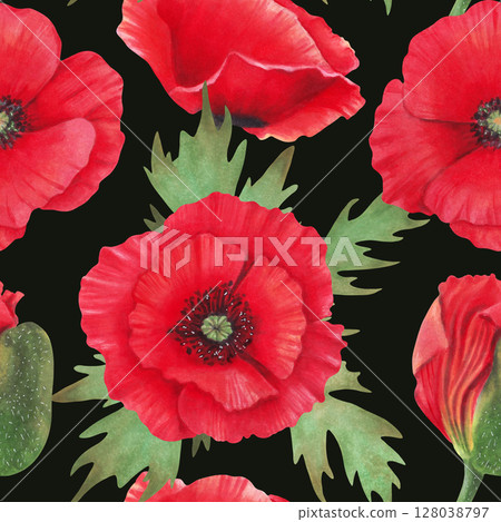 Seamless pattern of scarlet red poppy flower with leaves. Watercolor botanical illustration. Wild poppy festival. Hand drawn isolated art for background, fabric. Remembrance, spring and labor day. 128038797