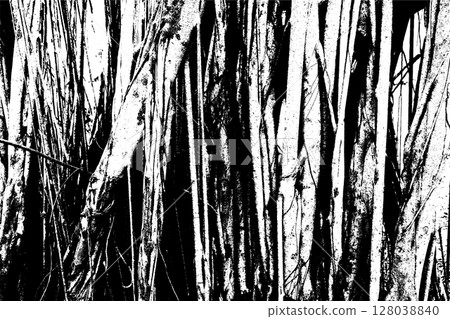 Big tree roots as wooden textured backdrop Big tree roots as wooden textured backdrop 128038840