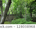 Spring park garden scenery 128038968