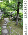 Spring park garden scenery 128038969
