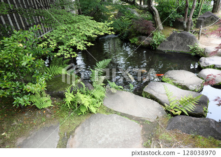 Spring park garden scenery 128038970