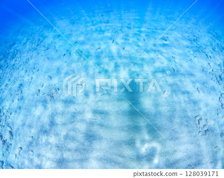 淺灘沙灘上倒映著潛水員的影子。平靜海面的漣漪美不勝收。 2024年,靜岡縣伊豆半島南伊豆町,廣島中木 淺灘沙灘上倒映著潛水員的影子。平靜海面的漣漪美不勝收。 2024年,靜岡縣伊豆半島南伊豆町,廣島中木 128039171