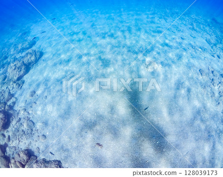 The shadow of a skin diver reflected on the sand in shallow water. The ripples of the calm sea are beautiful. Hirizohama Nakagi Minamiizu Town Izu Peninsula Shizuoka Prefecture 2024 128039173