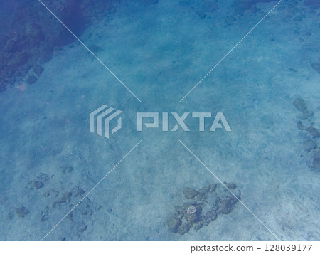 The shadow of a skin diver reflected on the sand in shallow water. The ripples of the calm sea are beautiful. Hirizohama Nakagi Minamiizu Town Izu Peninsula Shizuoka Prefecture 2024 128039177