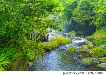 (Kumamoto Prefecture) Kikuchi Valley - Autumn leaves stream (Kumamoto Prefecture) Kikuchi Valley - Autumn leaves stream 128040884
