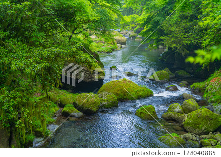 (Kumamoto Prefecture) Kikuchi Valley - Autumn leaves stream (Kumamoto Prefecture) Kikuchi Valley - Autumn leaves stream 128040885