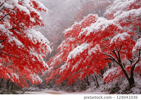 雪花落在秋葉上 雪花落在秋葉上 128041036