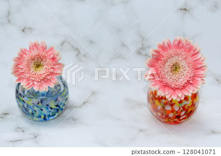 兩側玻璃花瓶中的非洲菊 兩側玻璃花瓶中的非洲菊 128041071