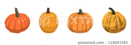 Set of realistic big orange pumpkins on white background - Vector Set of realistic big orange pumpkins on white background - Vector 128041565