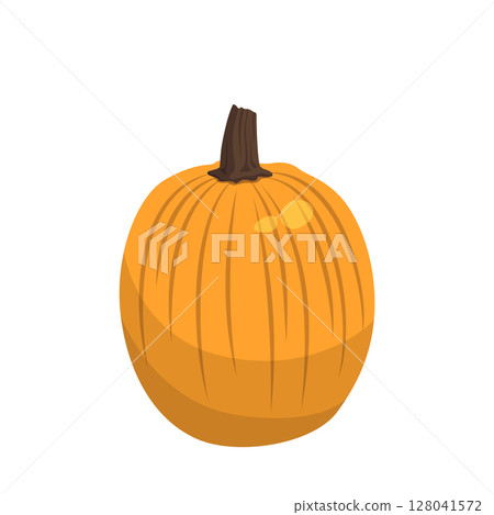 Realistic big orange pumpkin on white background - Vector Realistic big orange pumpkin on white background - Vector 128041572