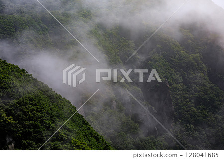 Muroran, Hokkaido: Cliffs shrouded in sea mist [June] 128041685