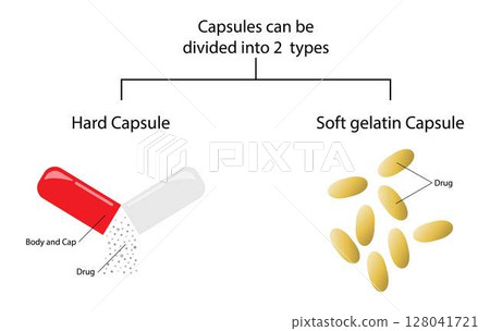 illustration of biology and medical, Capsules can be divided into 2 types, Hard capsule and Soft gelatin Capsule, the manufacture of pharmaceuticals, treatment of illness illustration of biology and medical, Capsules can be divided into 2 types, Hard capsule and Soft gelatin Capsule, the manufacture of pharmaceuticals, treatment of illness 128041721